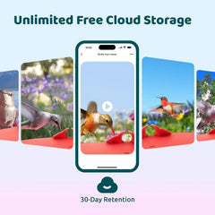 Hummingbird Feeder (Outdoor Hanging Type, with Camera, Ant-proof Groove), supports real-time viewing via 1080P high-definition application, equipped with artificial intelligence hummingbird recognition function, automatic recording and alarm function