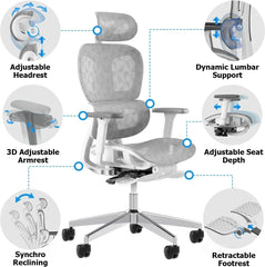 Ergo3D Ergonomic Office Chair -- High Back Mesh Desk Chair with 3D Adjustable Armrests, Wheels, for Home and Office (Black)