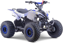 MINIQuad Infantil 125cc Gasolina automático con Marcha atrás, Azul, Carga máxima 120 kg (Solo para circuitos Cerrados)