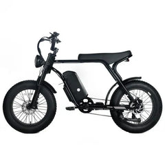Electric Mountain Bike for Adults | 20 x 4.0 Fat Tires, 1000W Motor, 48V 20Ah Removable Battery, Max Speed 45MPH, Shi Mano 7-Speed for Off-Road Adventures