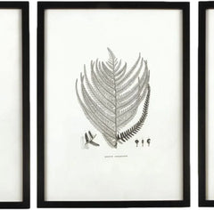 MY SWANKY HOME Modern Set of 6 Black White Fern Prints Botanical Framed Monochrome 29 in