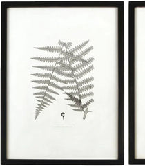 MY SWANKY HOME Modern Set of 6 Black White Fern Prints Botanical Framed Monochrome 29 in