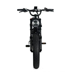 Electric Mountain Bike for Adults | 20 x 4.0 Fat Tires, 1000W Motor, 48V 20Ah Removable Battery, Max Speed 45MPH, Shi Mano 7-Speed for Off-Road Adventures