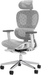 Ergo3D Ergonomic Office Chair -- High Back Mesh Desk Chair with 3D Adjustable Armrests, Wheels, for Home and Office (Black)