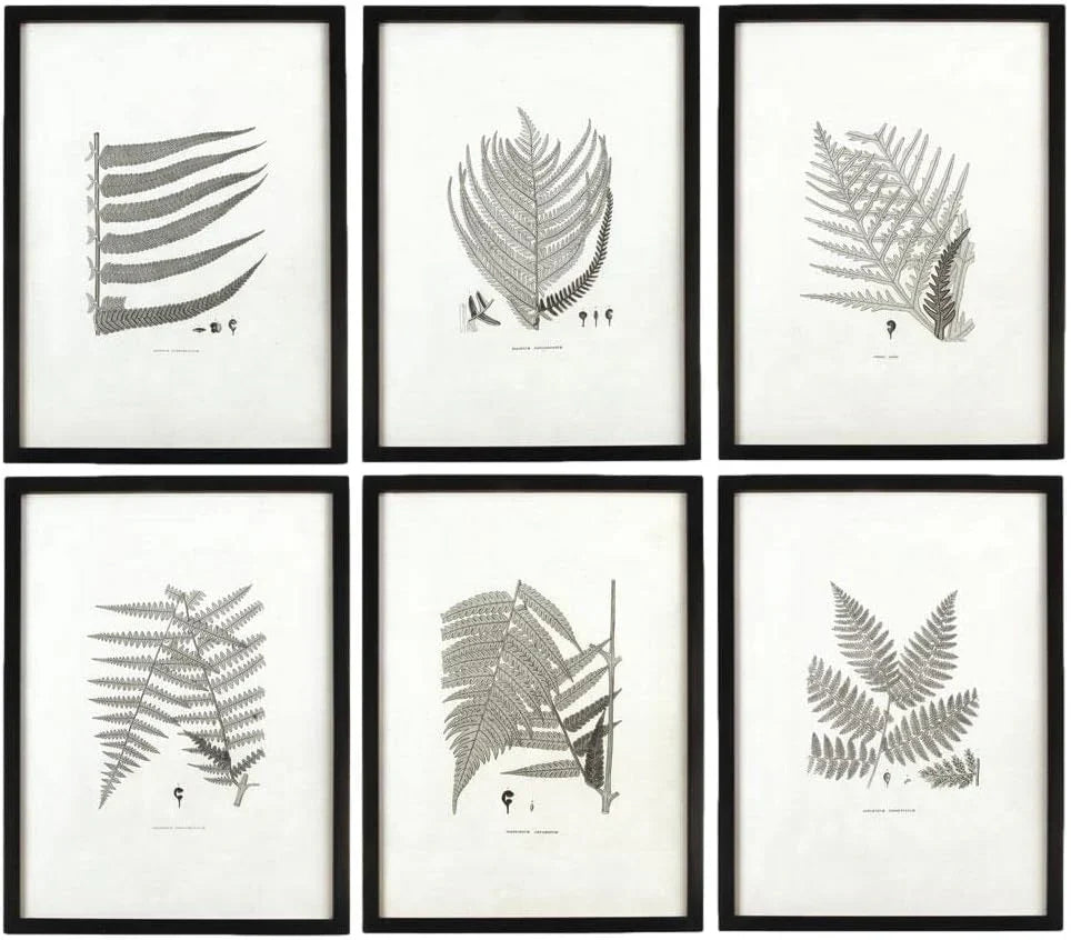 MY SWANKY HOME Modern Set of 6 Black White Fern Prints Botanical Framed Monochrome 29 in