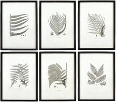 MY SWANKY HOME Modern Set of 6 Black White Fern Prints Botanical Framed Monochrome 29 in