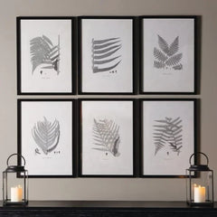 MY SWANKY HOME Modern Set of 6 Black White Fern Prints Botanical Framed Monochrome 29 in