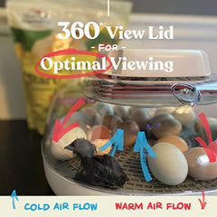 Farms Nurture Right Egg Incubator for Hatching Chicks - Holds 22 Eggs