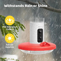 Hummingbird Feeder (Outdoor Hanging Type, with Camera, Ant-proof Groove), supports real-time viewing via 1080P high-definition application, equipped with artificial intelligence hummingbird recognition function, automatic recording and alarm function