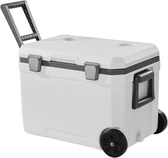 immersion cooler